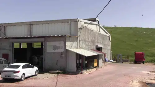 Siirt’teki çiftçi devlet desteğiyle süt üretiminde devleşti