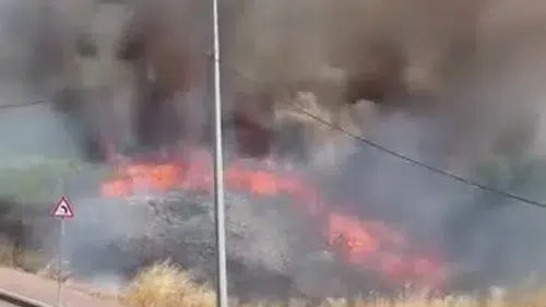 Darıca’da boş arazideki yangın çevrede korku yarattı