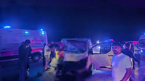 Bingöl yolunda gece vakti at kazası bir can aldı