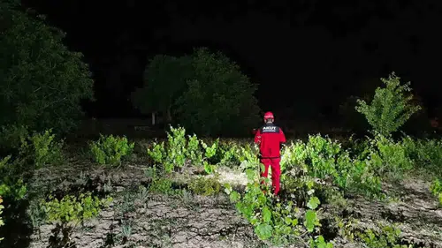 Afyonkarahisar'da yaşlı adam için ormanlık alanda seferberlik başladı