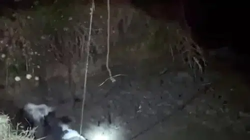 Edirne’de köylünün ineği çukura sıkıştı