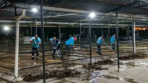 Efeler bayramın ardından hızla temizlendi