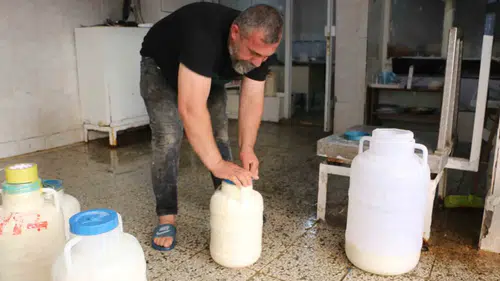 Diyarbakırlıların kışlık peynir bütçesini koruma rehberi