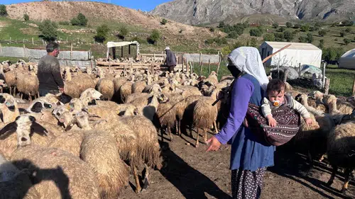 Küçükbaş hayvancılık desteği bekleyenler dikkat