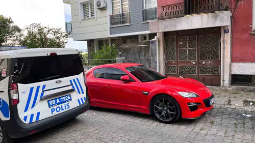 Aydın’da kedi kurtarma operasyonunda dolandırıcı krizi