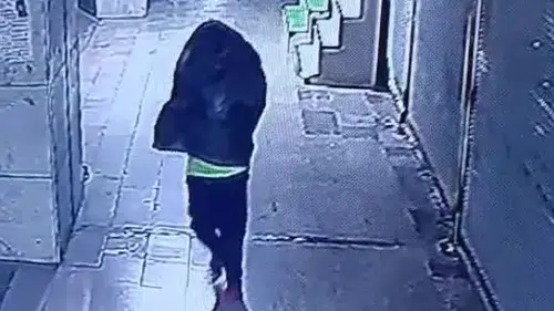 Kırıkkale'de çöp poşetli kundakçı kamerada