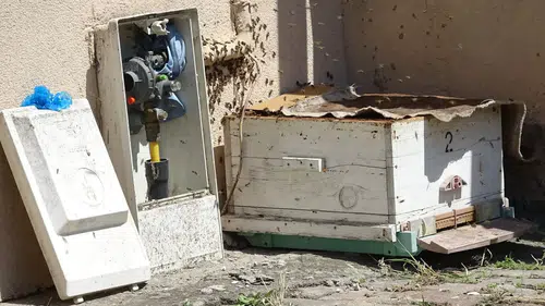 Karabük'te doğal gaz kutusunu arılar istila edince mahalleli ayağa kalktı