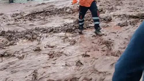 Artvin’de sağanak dereleri taşırdı