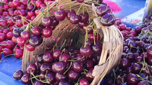 Tekirdağ pazarında kiraz fiyatları yarı yarıya eridi