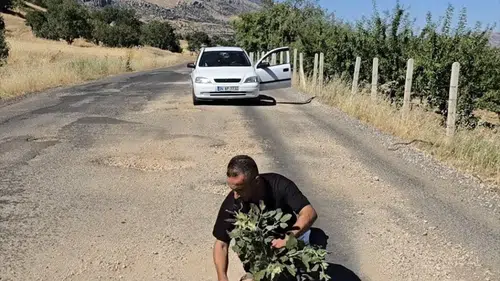 Diyarbakırlı köylüler bozuk yolları protesto etmek için çukurlara fidan dikti