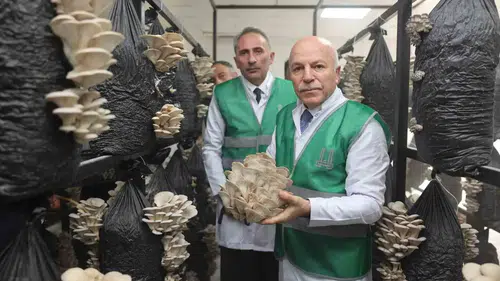 Erzurum kırsalında mantar üretimi dönemi başlıyor