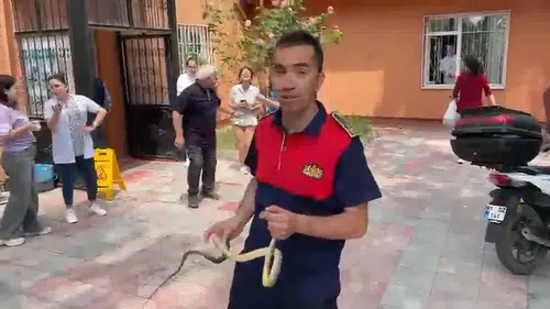 Zonguldak’ta bir sağlık ocağına yılan girdi