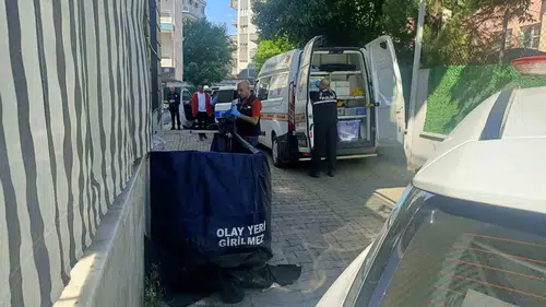 Aydın’da sabah yürüyüşü acı bitti