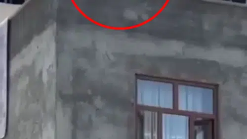 Narin Güran davasının gölgesinde Diyarbakır'da kanlı sokak kavgası