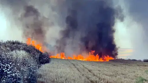 Tekirdağ'da buğday tarlaları alevlere teslim oldu