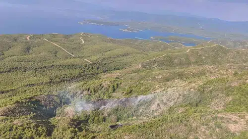 Marmaris ormanlarındaki yıldırım yangını büyümeden söndürüldü