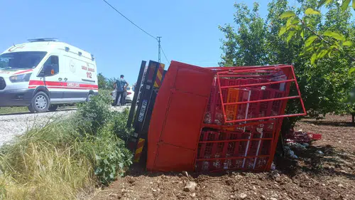 Malatya'da tavuk kamyonu şarampole uçtu