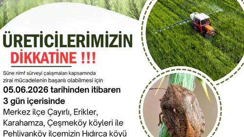 Kırklareli hububat üreticisini süne zararlısına karşı ilaçlama uyarısı
