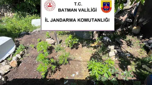 Batman jandarmasından kaçakçılara yönelik geniş çaplı operasyon