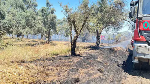 İzmir Bayındır’da tarım arazilerini saran yangın korkuttu