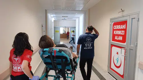 Kediyi kurtarmak isterken şarampole uçtu