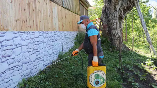 Oltu’da kene alarmı Belediye ilaçlama seferberliği başlattı