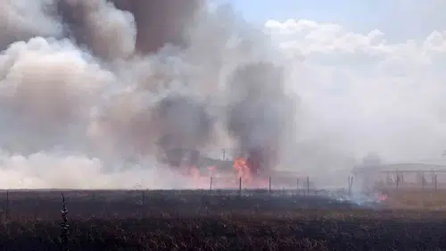 Tekirdağ'da iki farklı noktada çıkan yangın konteynerleri küle çevirdi