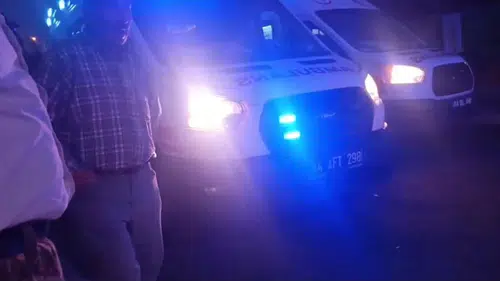 Malatya’da dut ağacı kavgası kanlı bitti