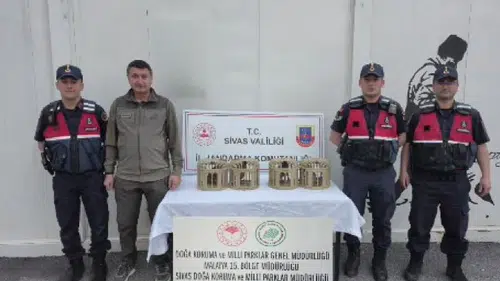 Sivas'ta kaçak avlanan keklikler özgürlüğüne kavuştu