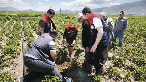 Dinar’da dolu vurdu çiftçinin ürünü tarlada yandı