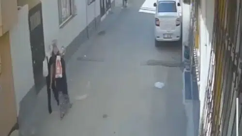 Adana'da pes dedirten hırsızlık Evin mutfağını boşalttılar