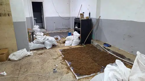 İstanbul ve Adıyaman merkezli dev kaçak tütün operasyonu
