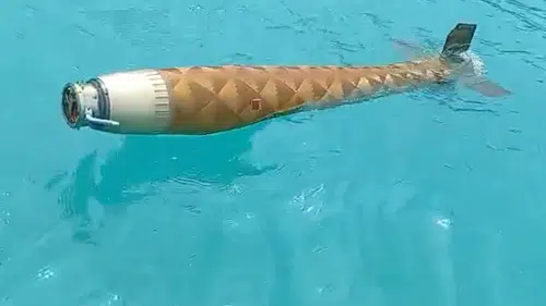 Sinop kıyılarında denizden çıkan şüpheli cisim alarmı