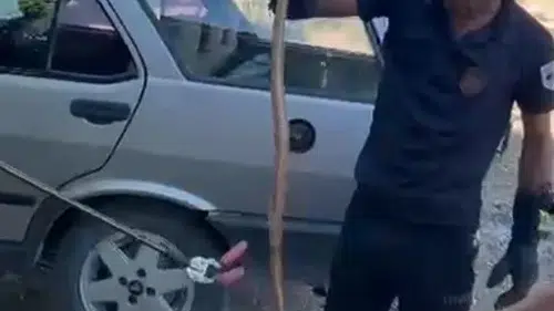 Malatya’da kayısı bahçesindeki otomobile yılan girdi
