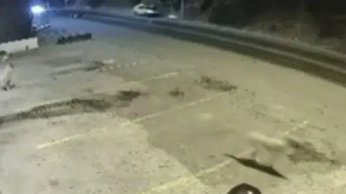Bodrum'da iki kişinin öldüğü kazanın görüntüleri ortaya çıktı