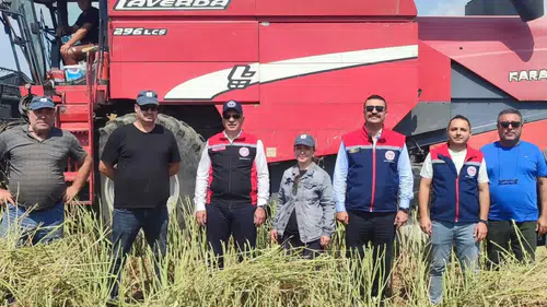 Söke tarlalarında yeni dönem başlıyor
