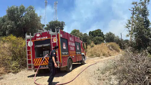 Bodrum Turgutreis’te korkutan yangın büyümeden söndürüldü