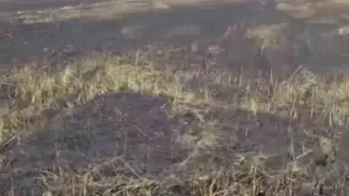 Siverek’te trafo yangını felaketi 200 dönüm yandı 3 kişi yaralandı