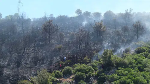 Balıkesir Burhaniye'de orman yangını kontrol altına alındı
