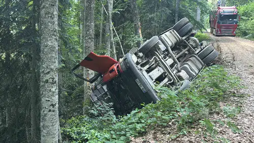 Karabük orman yolunda kamyon devrildi