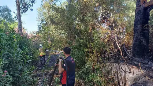 Hatay Hassa'daki bahçe yangını büyümeden söndürüldü