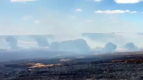 Tekirdağ'da buğday tarlaları kül oldu