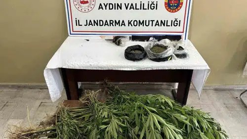 Aydın’da jandarmadan zehir tacirlerine ağır darbe