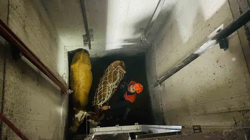 Bingöl'de inşaat alanında şaşırtan kurtarma operasyonu