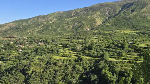 Şırnak ormanlarına girişler yaz dönemi için yasaklandı