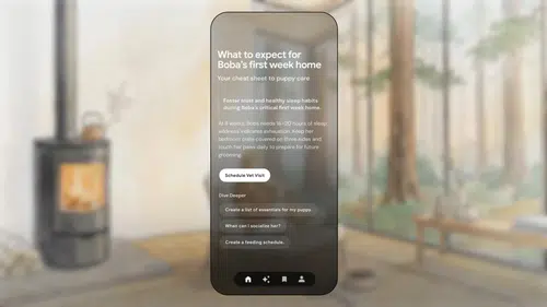 Google dijital ayak izlerinizi kişisel bir hikaye kitabına dönüştürüyor
