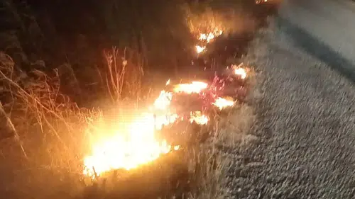 Ayvalık'ta sigara izmariti az kalsın faciaya yol açıyordu
