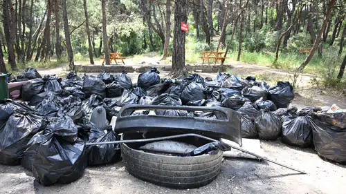 Çiftlik Park’ta doğa temizliği alarm verdi