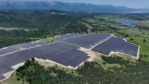 Güneş panellerinin altında hasat dönemi başlıyor