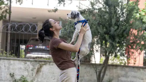 Mersin'de binlerce sokak hayvanı sıcak yuvaya kavuştu